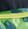 Parrot Green